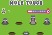 Mole Touch