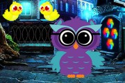 Jeu d'évasion Ruler Owl