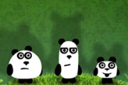 3只熊猫