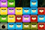 Angry Owls