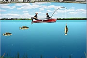 低音钓鱼专业
