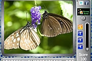 蝴蝶 - 找到字母