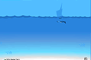 Balise Dolphin