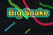 EG Big Snake