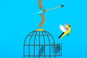 自由的鳥兒