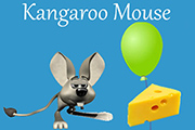 Souris kangourou