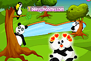 Panda Kissing
