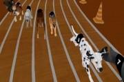 Real Dog Racing Simulatorゲーム2020