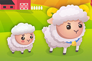 Combat de moutons